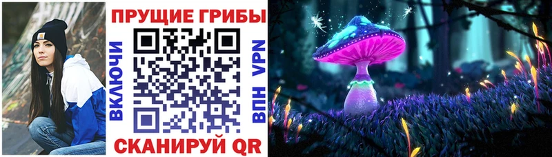 сколько стоит  Щёлкино  Псилоцибиновые грибы мухоморы 